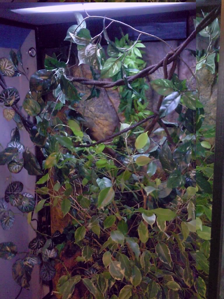 Photo0611.jpg