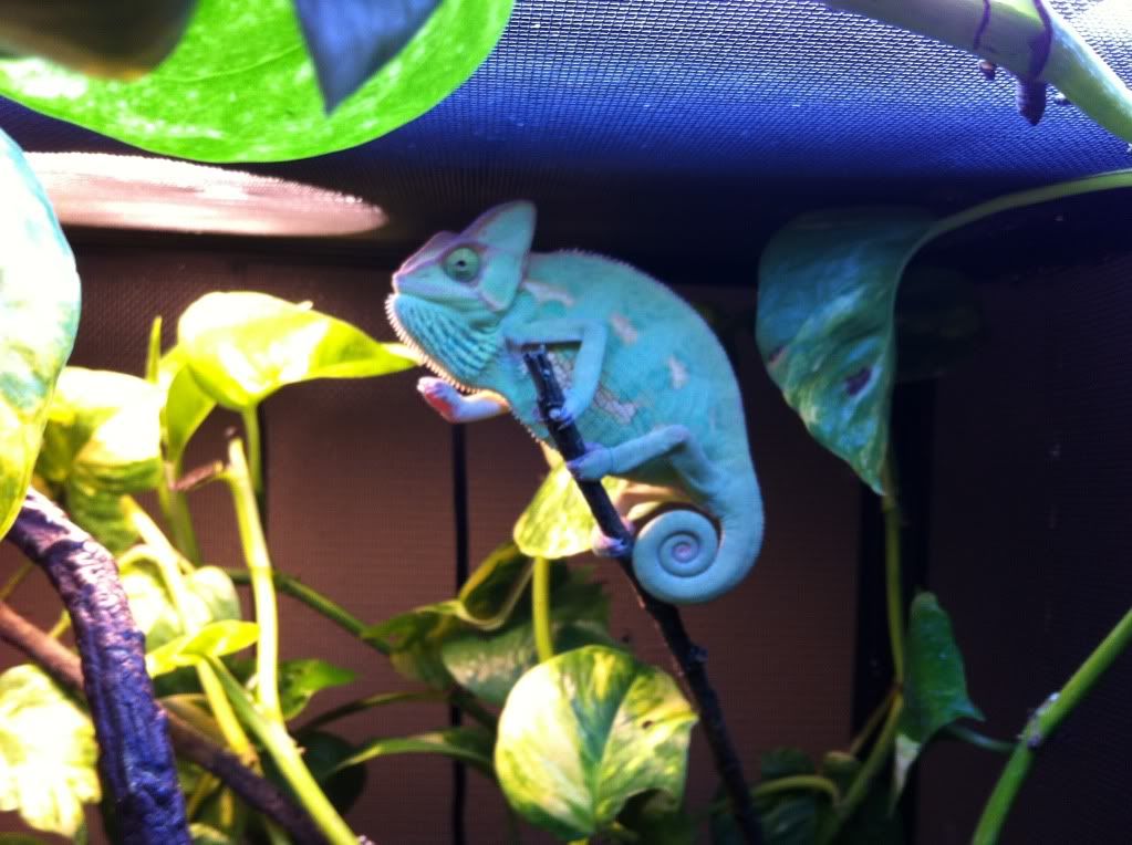 2012-10-08133759.jpg