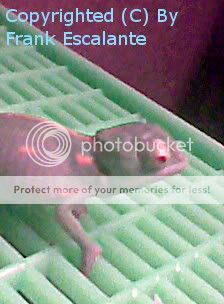 EditedImage0053_edited.jpg