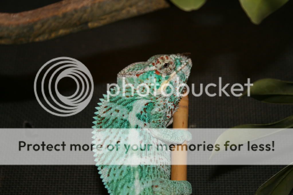 IMG_2200.jpg