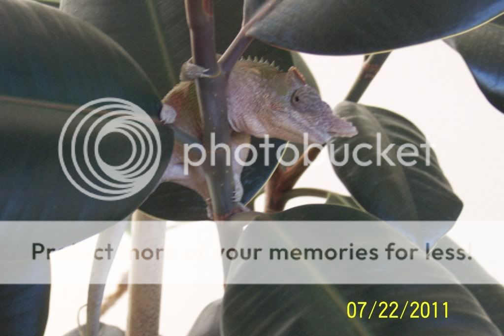 100_2398.jpg