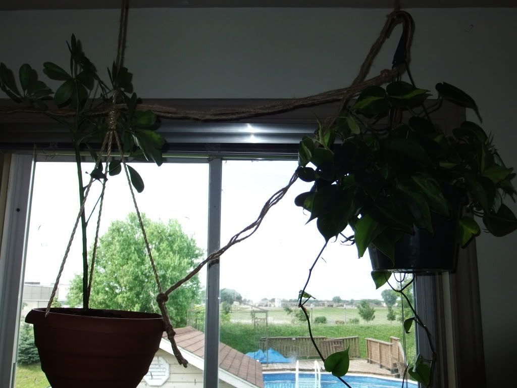 DSCF0479.jpg