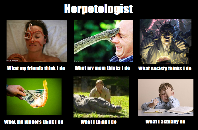 herpetologist.png