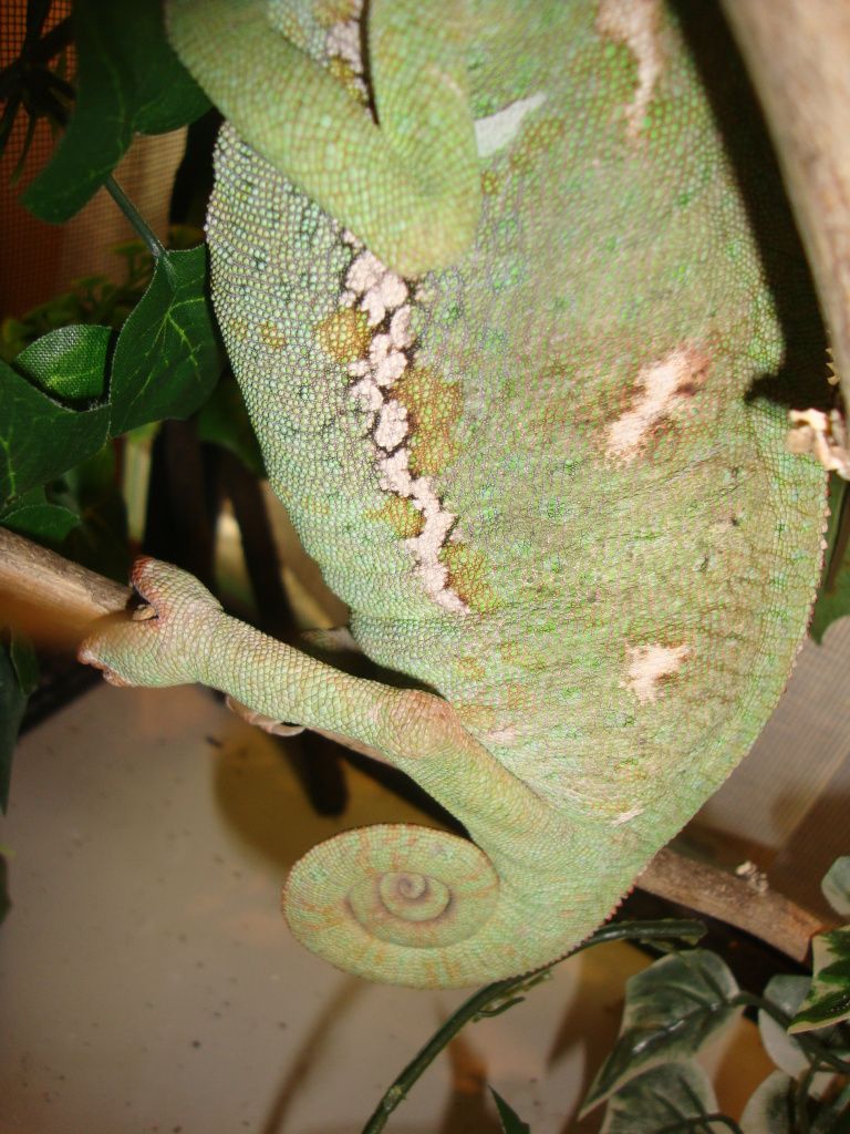 DSC02502.jpg