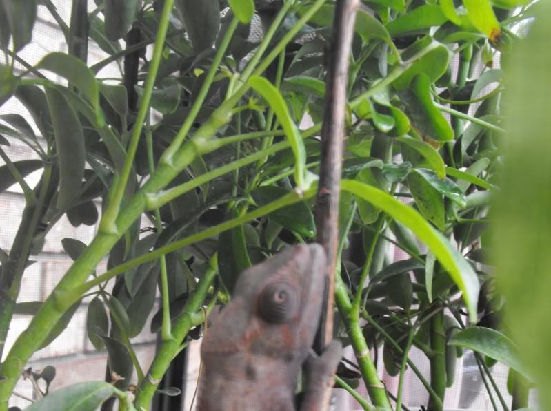 DSCF4001.jpg