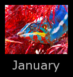 january.jpg
