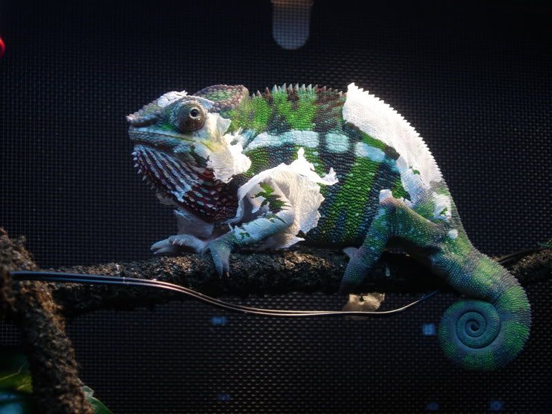 DSCN1505.jpg