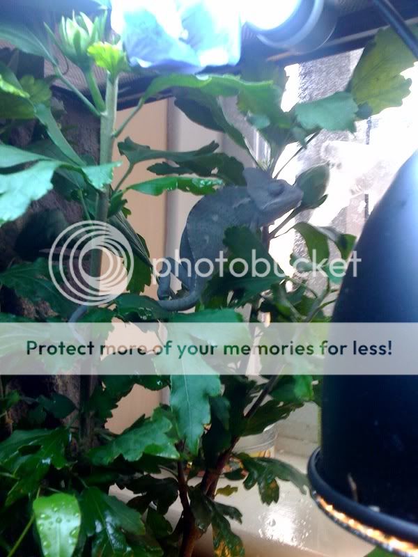 photo-4.jpg