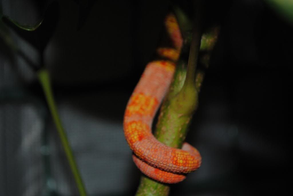 DSC_0448.jpg