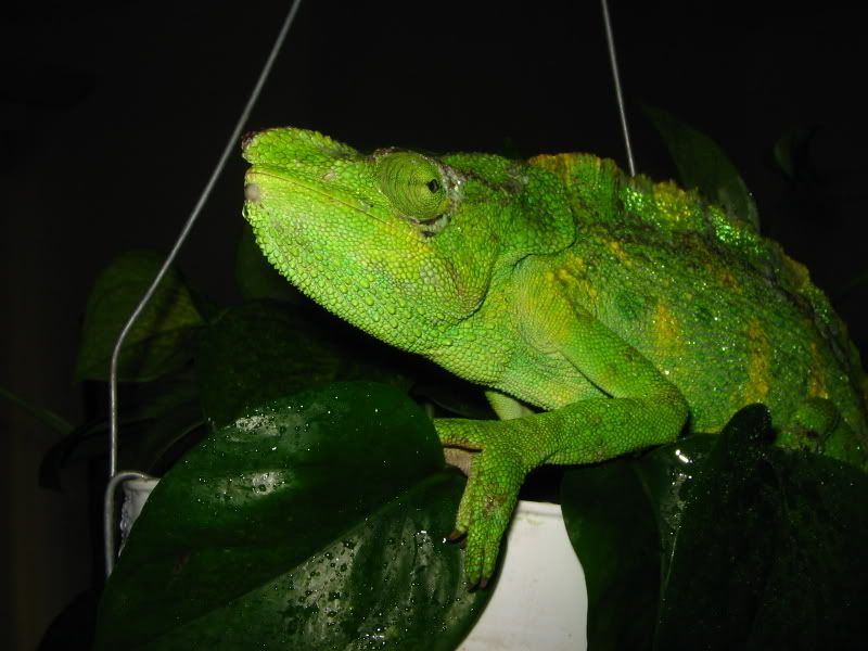 IMG_7908.jpg