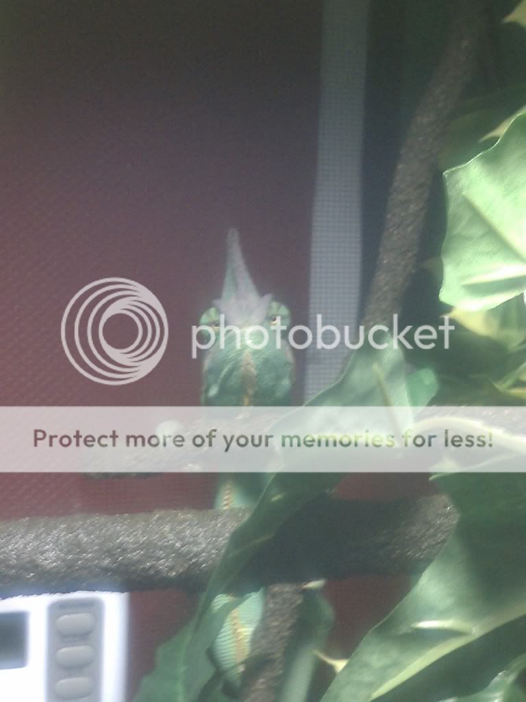 IMAG0164.jpg