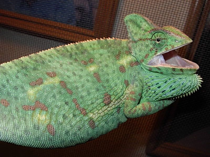 DSCN7530.jpg