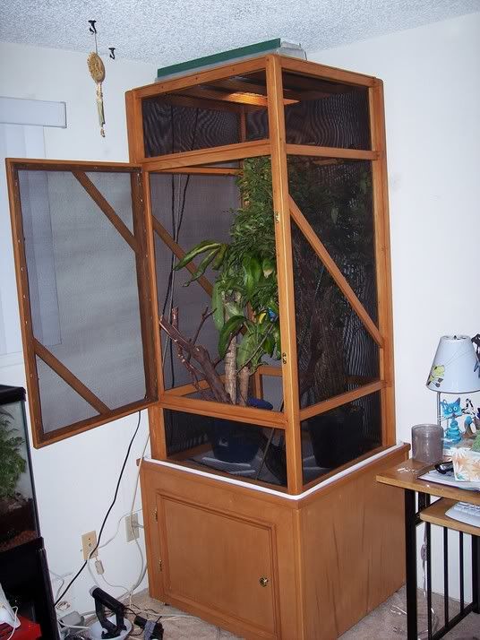 cage1.jpg