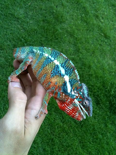 photo2-10.jpg