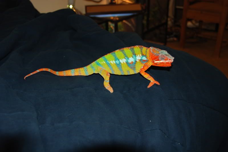 20070913005.jpg