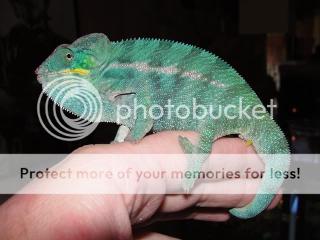sep09005.jpg