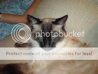 69PICS001.jpg