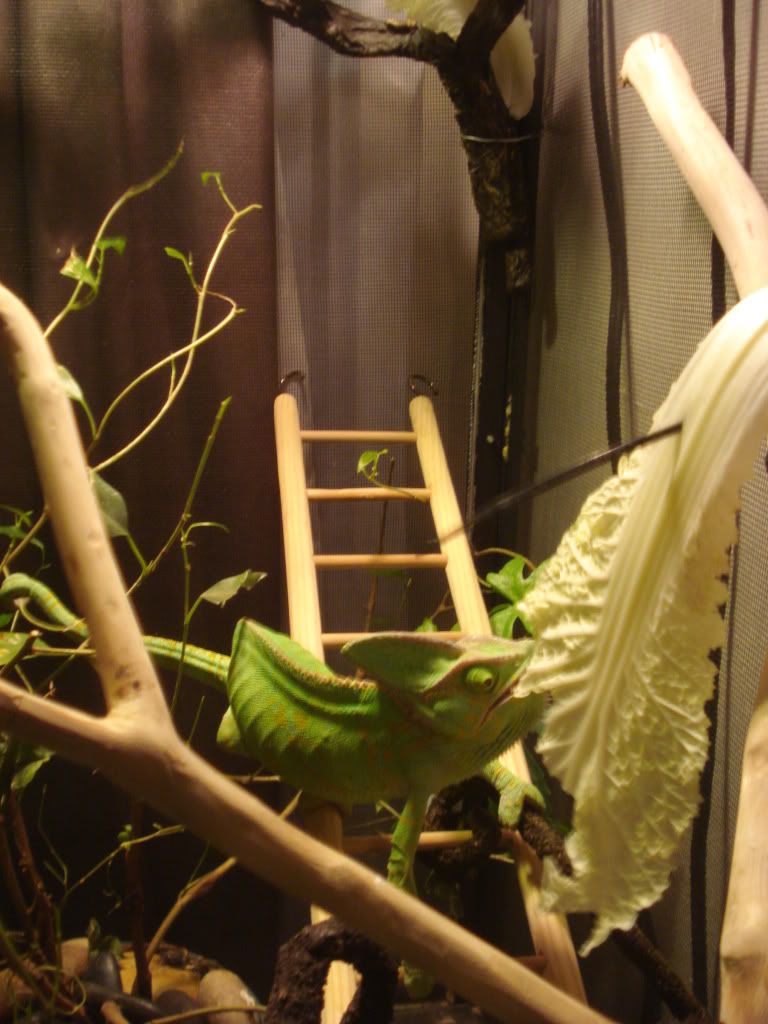 Picture882.jpg