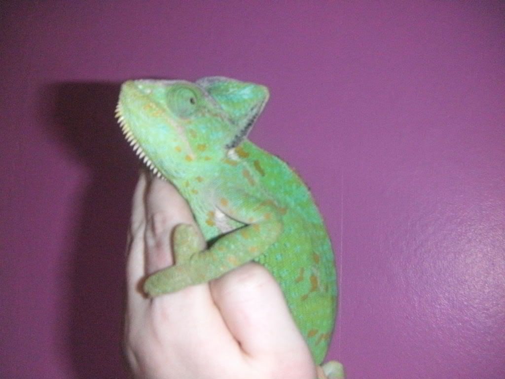 PICT0030.jpg