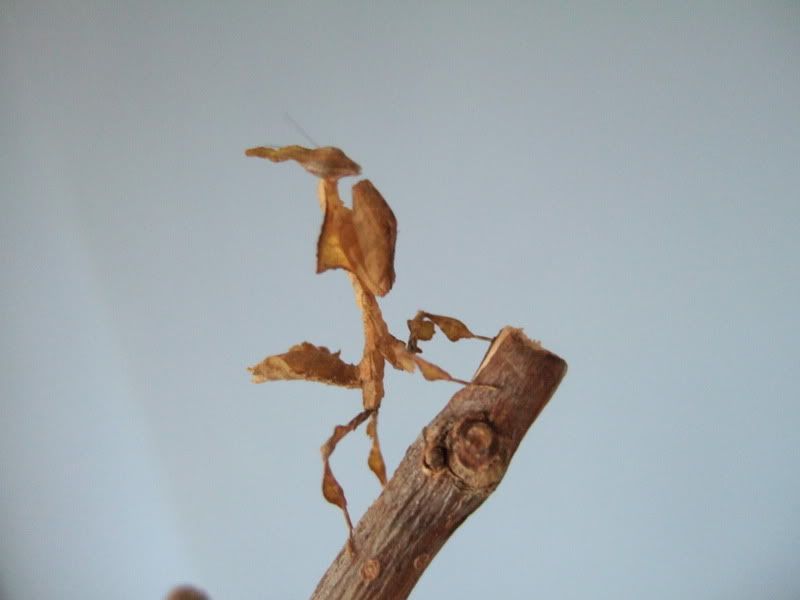 DSCF5179.jpg