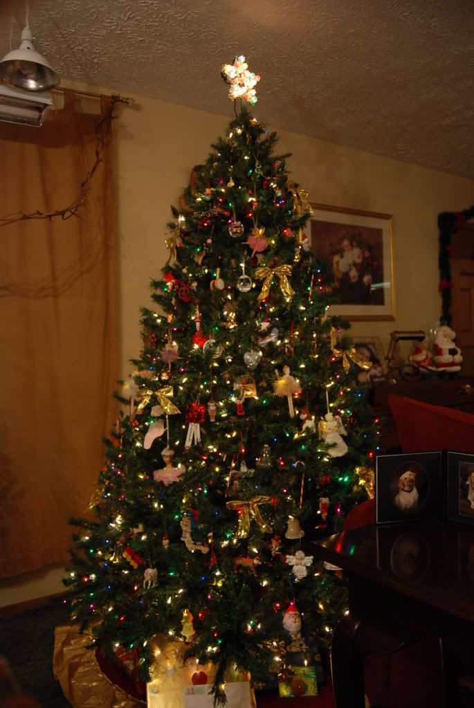 christmastree002.jpg