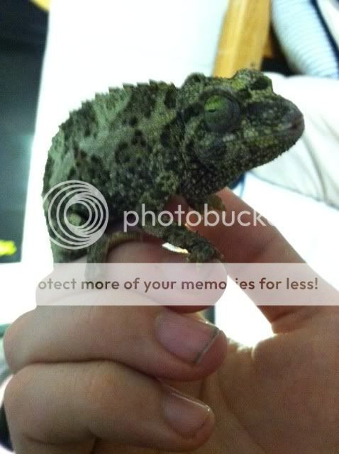 photo2.jpg