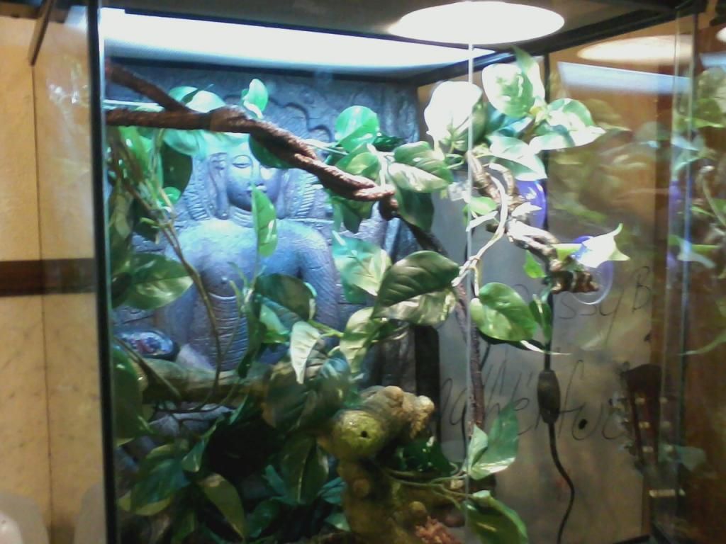 0715120020a_01.jpeg