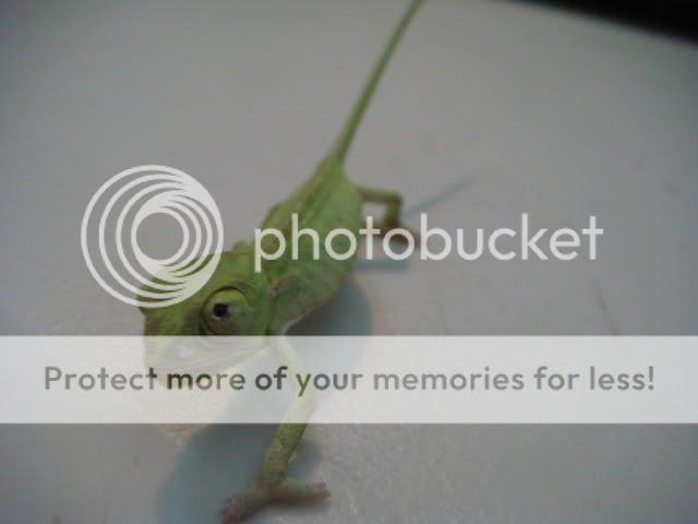 DSC03978.jpg