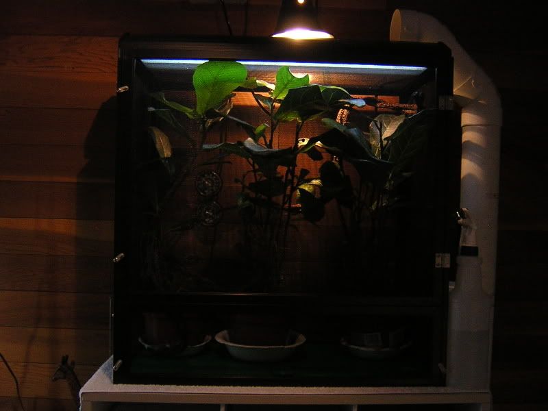 DSCN4997.jpg