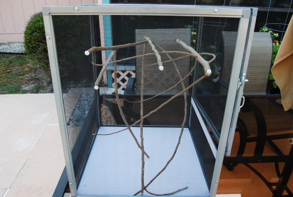 babiesnewcage002.jpg