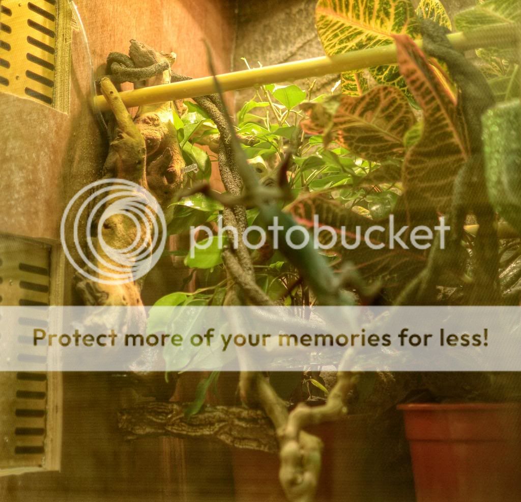 image_zps6f6241dc.jpg