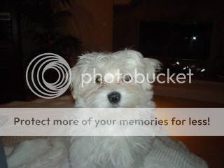 69PICS008.jpg