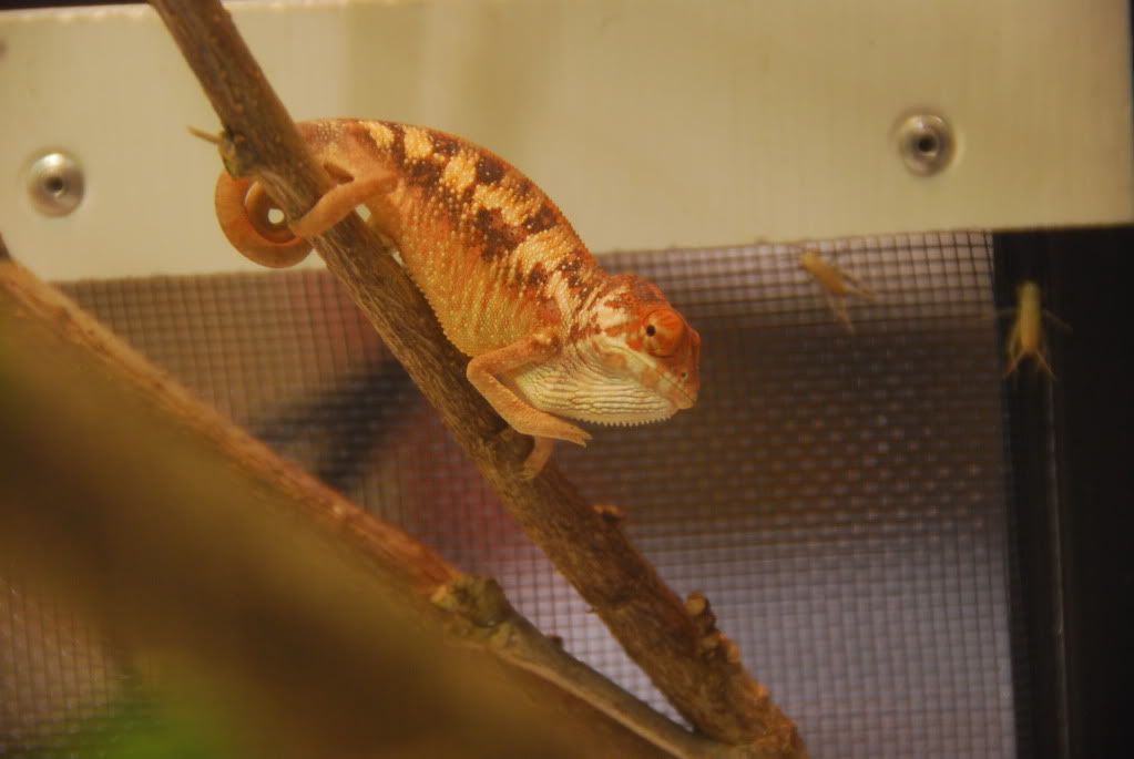 summer20111320.jpg