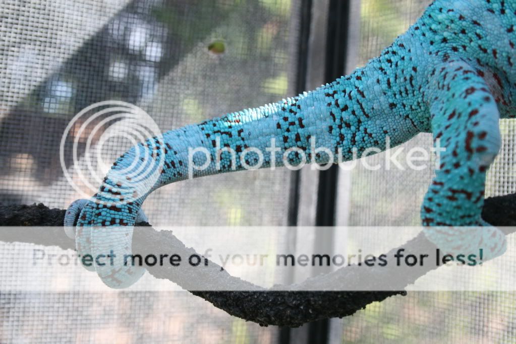 wedpics017.jpg