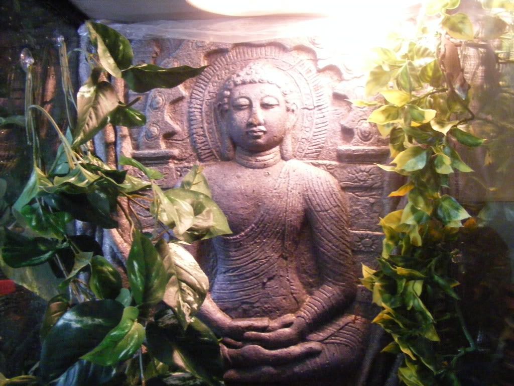 DSCF3960.jpg