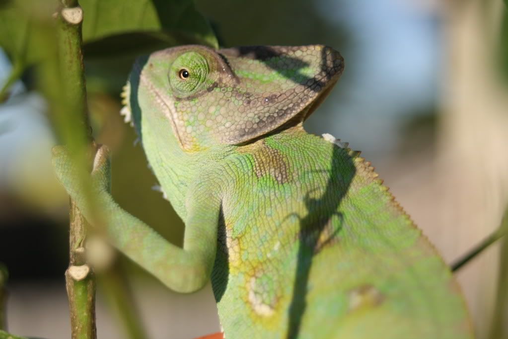 20110804_105.jpg