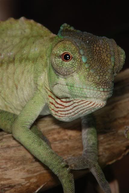 DSC_9428Small.jpg