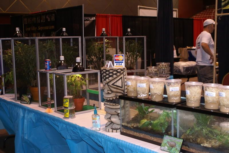 ReptileSuperShow041.jpg