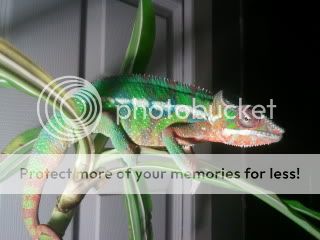 2011-12-23173830.jpg