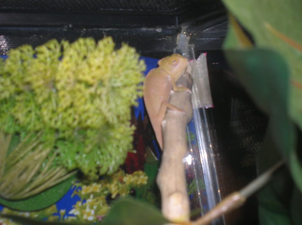 DSCN5892.jpg