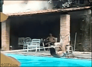 thepooldestroyer.gif