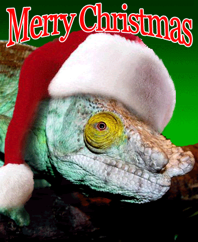 Karens-card2.gif
