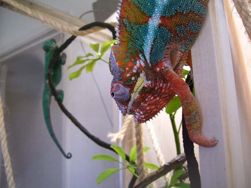 100_8962.jpg