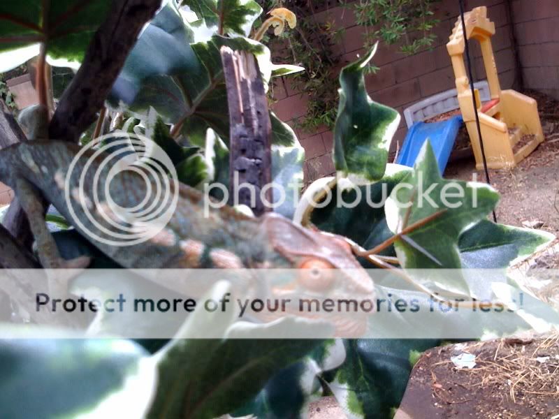 photojpg8-03-092-1.jpg