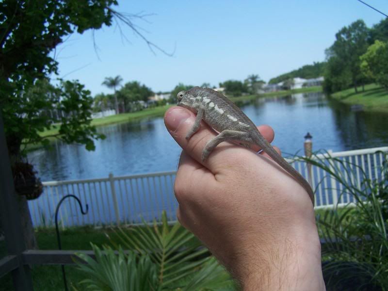 100_0765.jpg