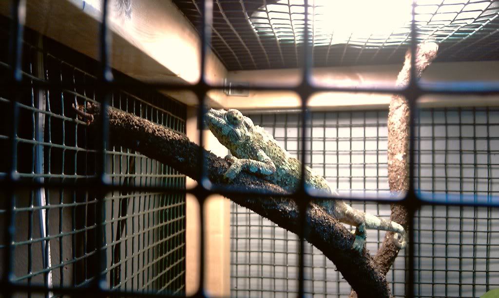 IMAG0008.jpg