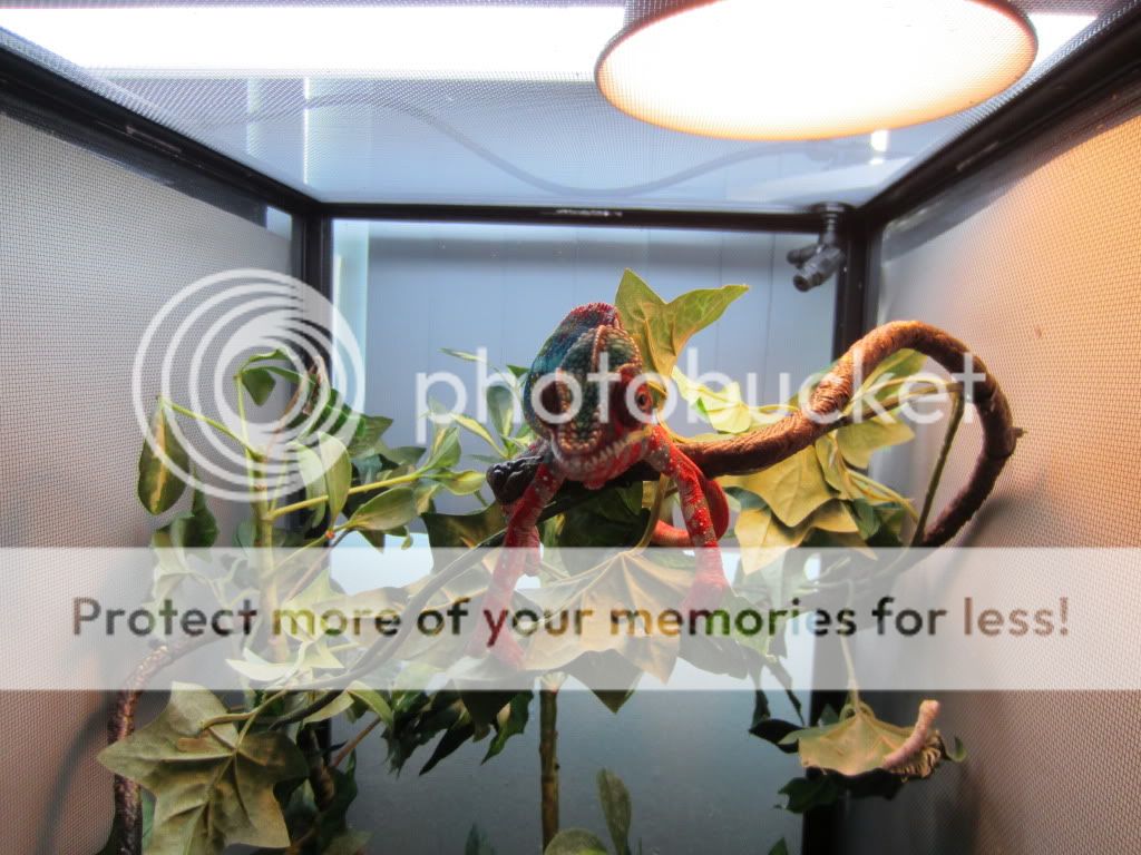 IMG_0099.jpg