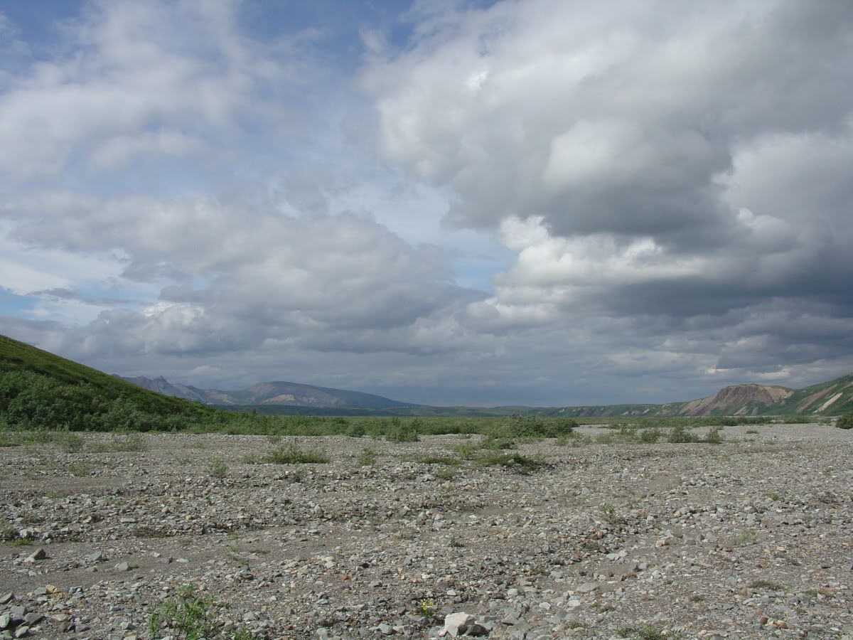 Disc3059.jpg
