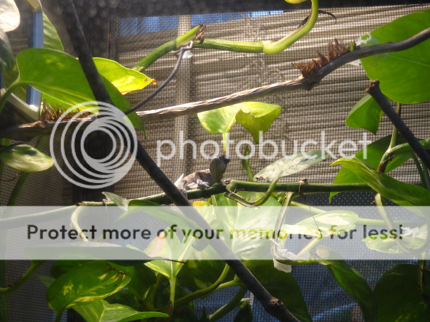 DSC05578.jpg