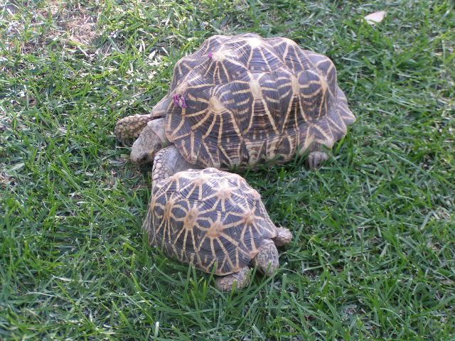 PICT0262.jpg
